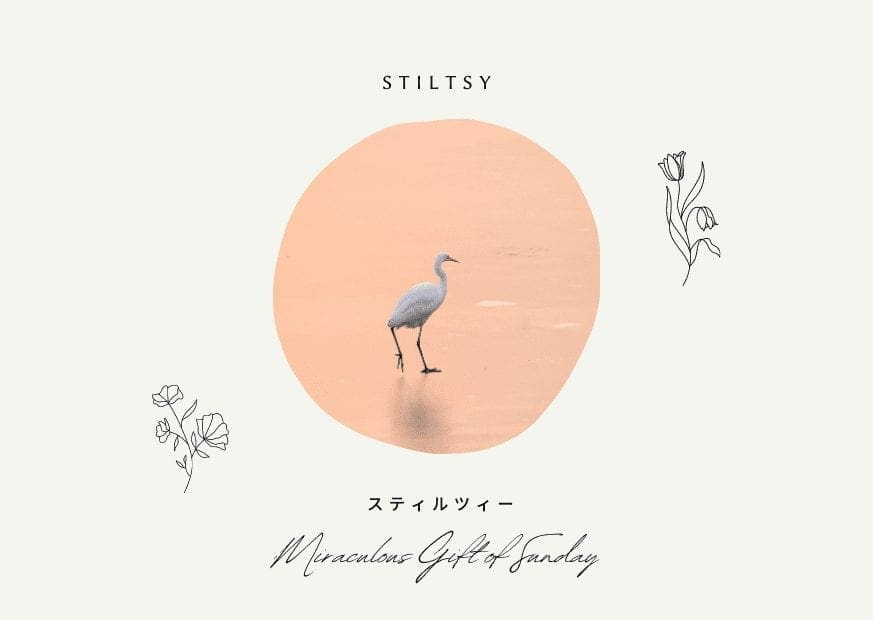 Stiltsy, Miraculous Gift, News, Maplopo