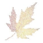 Maple Leaf Transparent