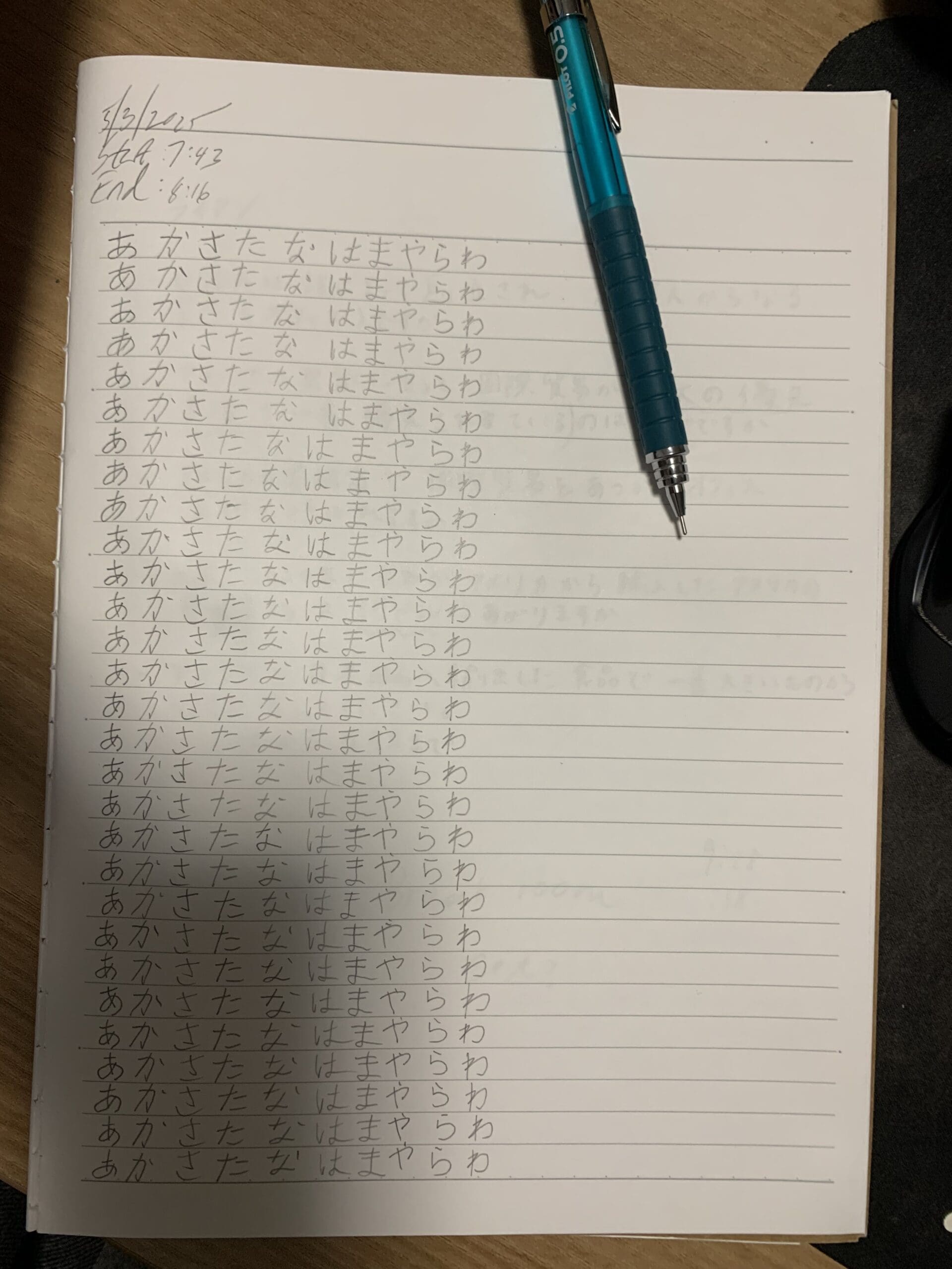 Day 13, Daffodil, Notes Day 13, Daffodil, Notes